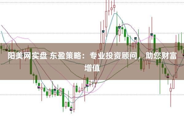 阳美网实盘 东盈策略：专业投资顾问，助您财富增值