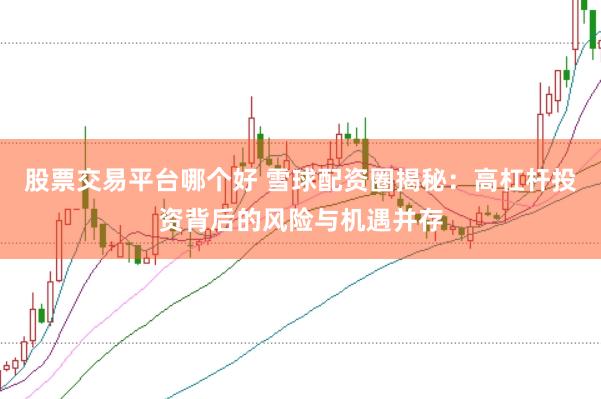 股票交易平台哪个好 雪球配资圈揭秘：高杠杆投资背后的风险与机遇并存