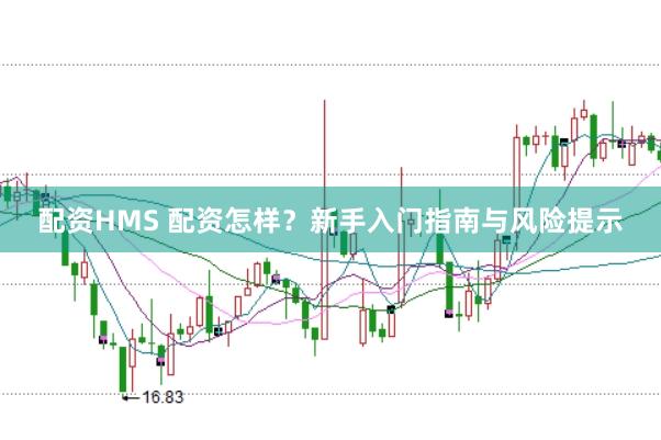 配资HMS 配资怎样？新手入门指南与风险提示