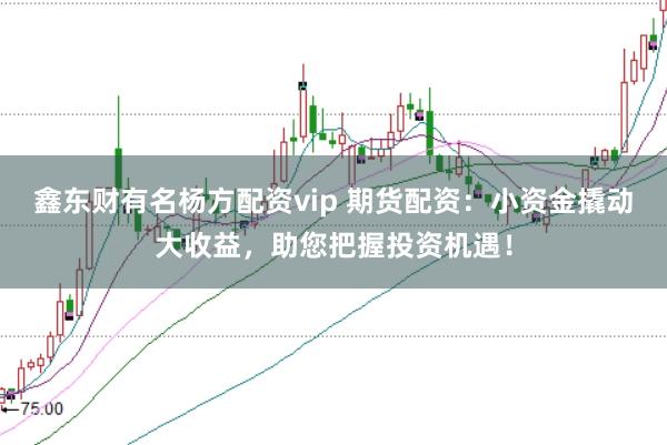 鑫东财有名杨方配资vip 期货配资:小资金撬动大收益,助您把握投资机遇!
