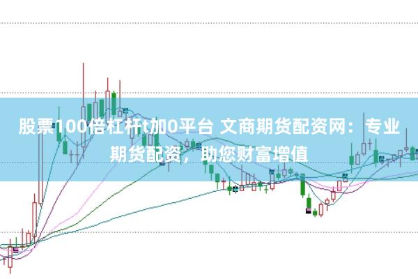 股票100倍杠杆t加0平台 文商期货配资网：专业期货配资，助您财富增值