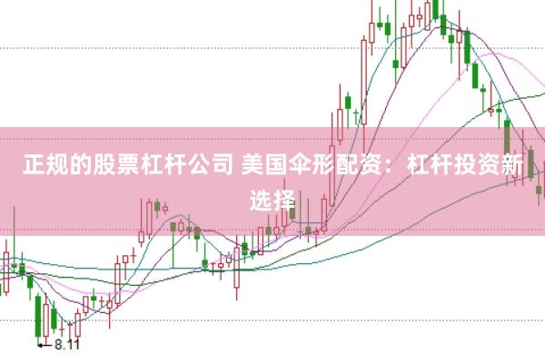 正规的股票杠杆公司 美国伞形配资：杠杆投资新选择