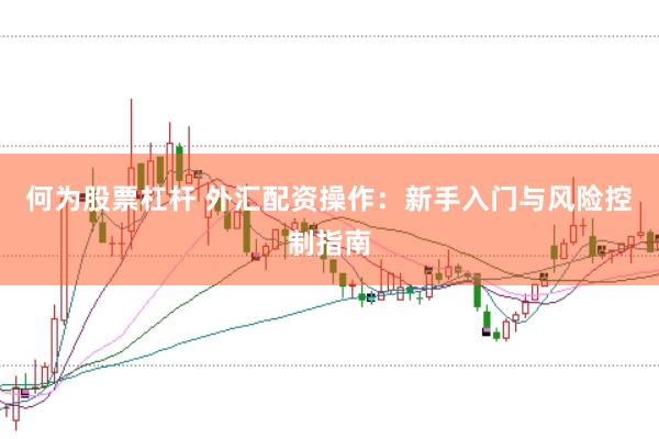 何为股票杠杆 外汇配资操作：新手入门与风险控制指南