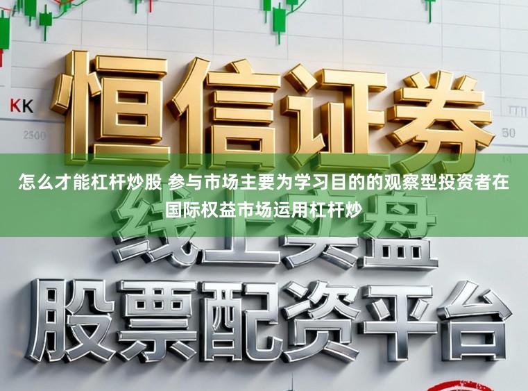 怎么才能杠杆炒股 参与市场主要为学习目的的观察型投资者在国际权益市场运用杠杆炒