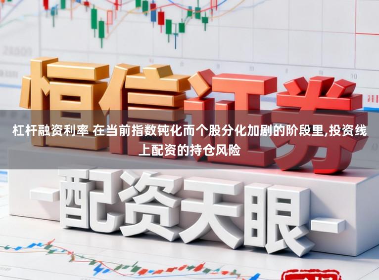 杠杆融资利率 在当前指数钝化而个股分化加剧的阶段里，投资线上配资的持仓风险