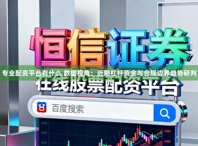 专业配资平台有什么 数据视角：近期杠杆资金与合规边界趋势研判