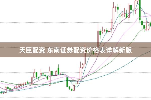 天臣配资 东南证券配资价格表详解新版