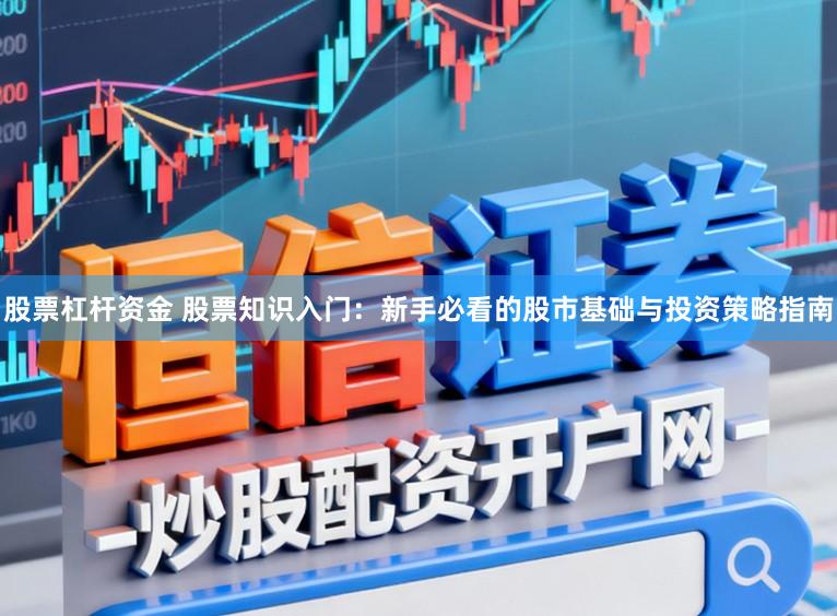 股票杠杆资金 股票知识入门：新手必看的股市基础与投资策略指南